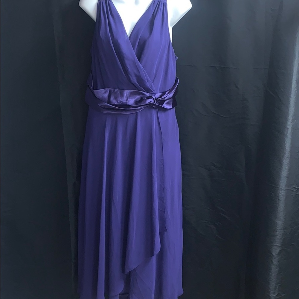 Evan-Picone beautiful dark purple sheer & satin.